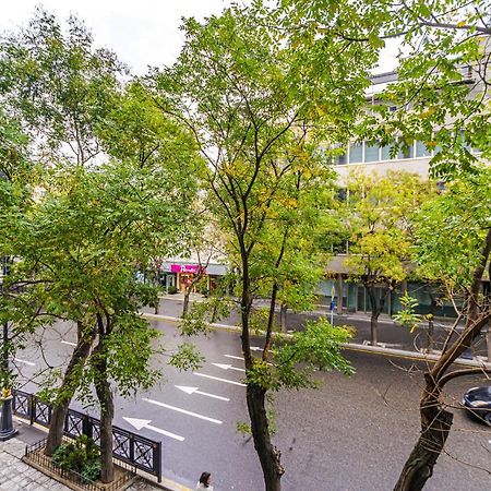 Apartament Vip Apartamen Nizami Street Baku Zewnętrze zdjęcie